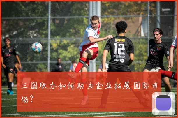 三国联办如何助力企业拓展国际市场？