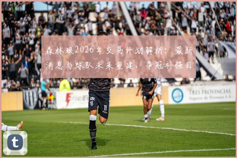 森林狼2026年交易计划解析:最新消息与球队未来重建、争冠补强目标深度探讨