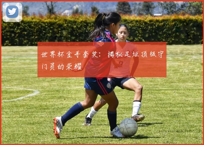 世界杯金手套奖:揭秘足坛顶级守门员的荣耀