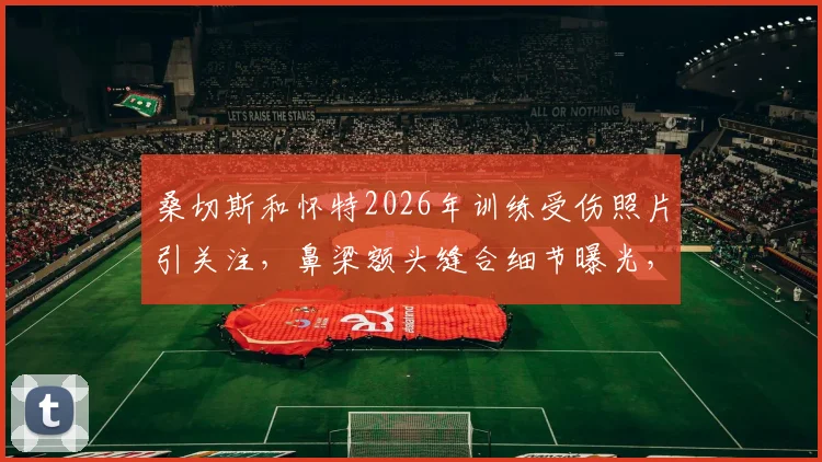 桑切斯和怀特2026年训练受伤照片引关注，鼻梁额头缝合细节曝光，专业防护讨论升温